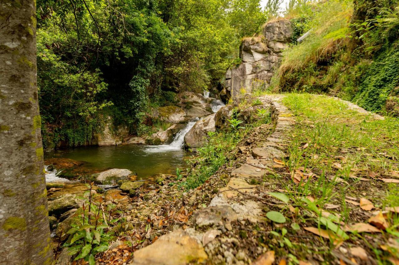 Casa Dos Limoeiros Em Ribas Villa Celorico De Basto Bagian luar foto