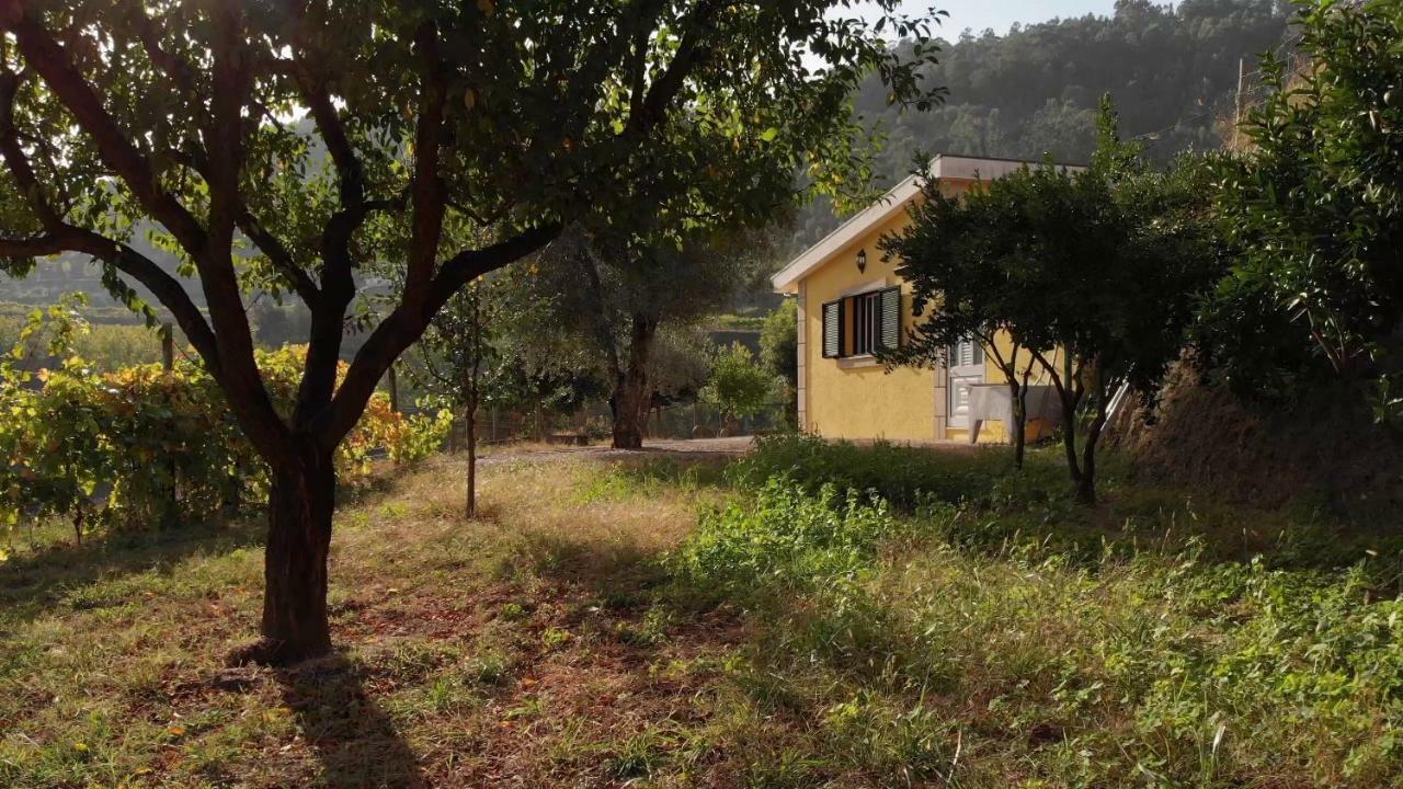 Casa Dos Limoeiros Em Ribas Villa Celorico De Basto Bagian luar foto