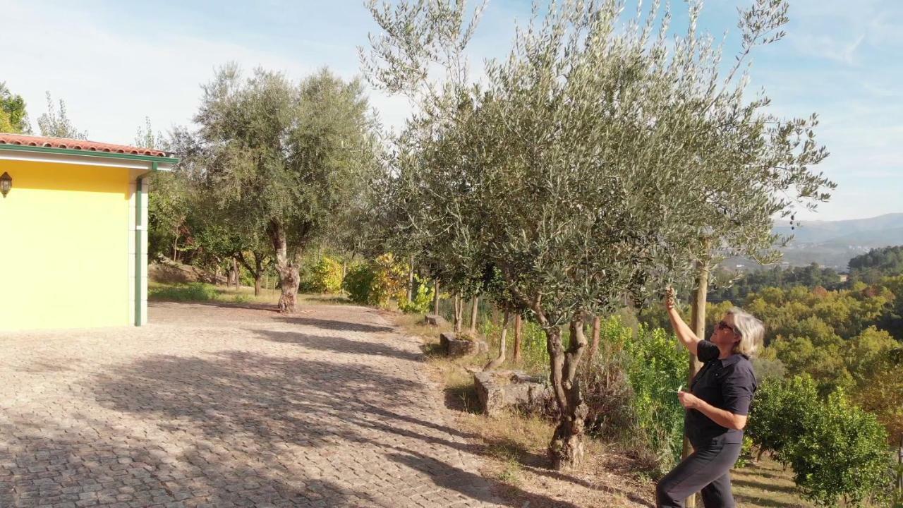 Casa Dos Limoeiros Em Ribas Villa Celorico De Basto Bagian luar foto